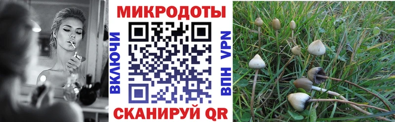где можно купить наркотик  Скопин  Галлюциногенные грибы мицелий 
